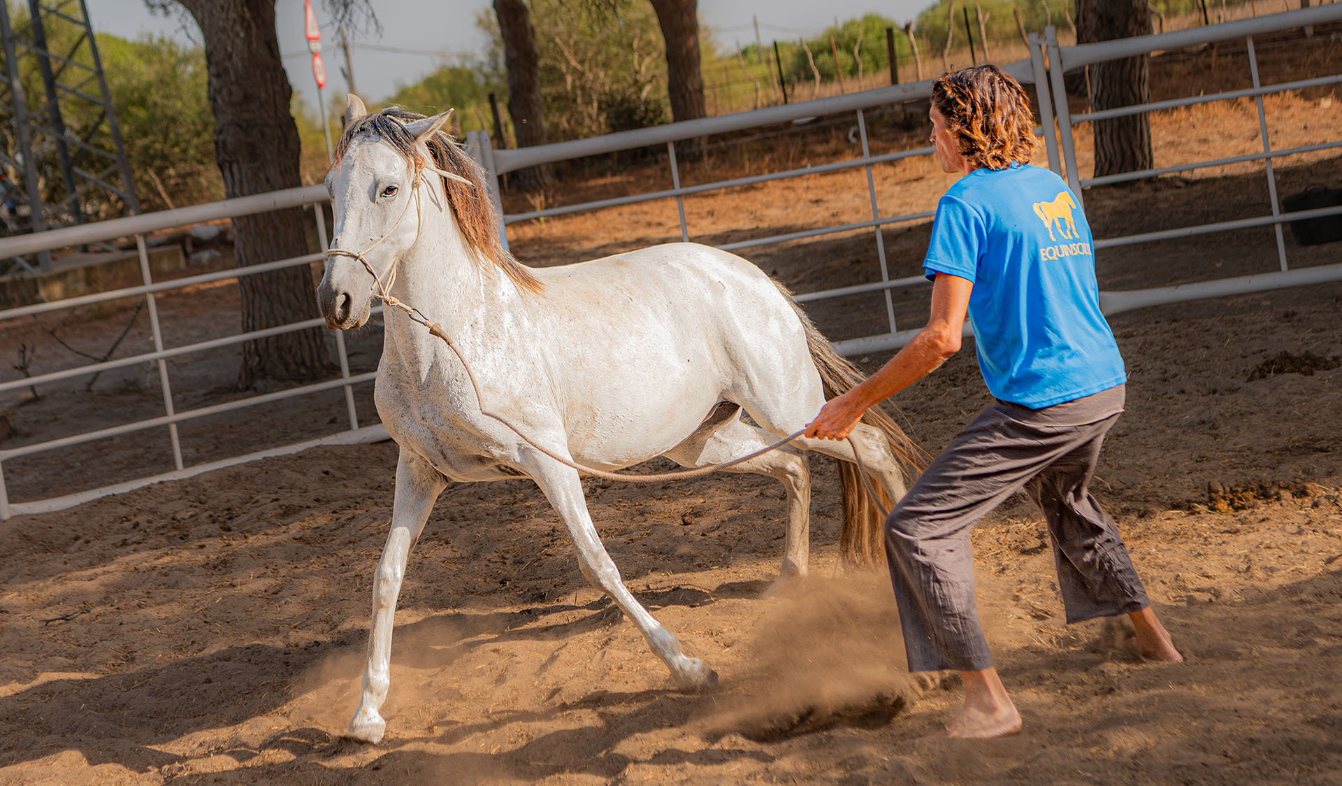 Amanse y entrenamiento de potros y caballos en Zahora Cádiz
