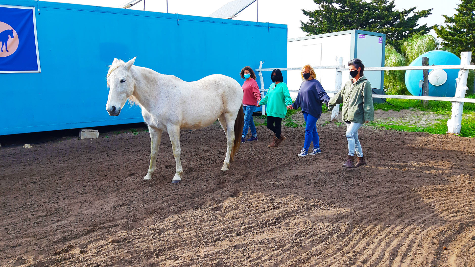 Assisted Horse Coaching in Zahora, Caños de Meca, Cádiz